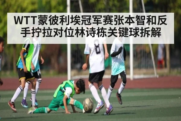 WTT蒙彼利埃冠军赛张本智和反手拧拉对位林诗栋关键球拆解